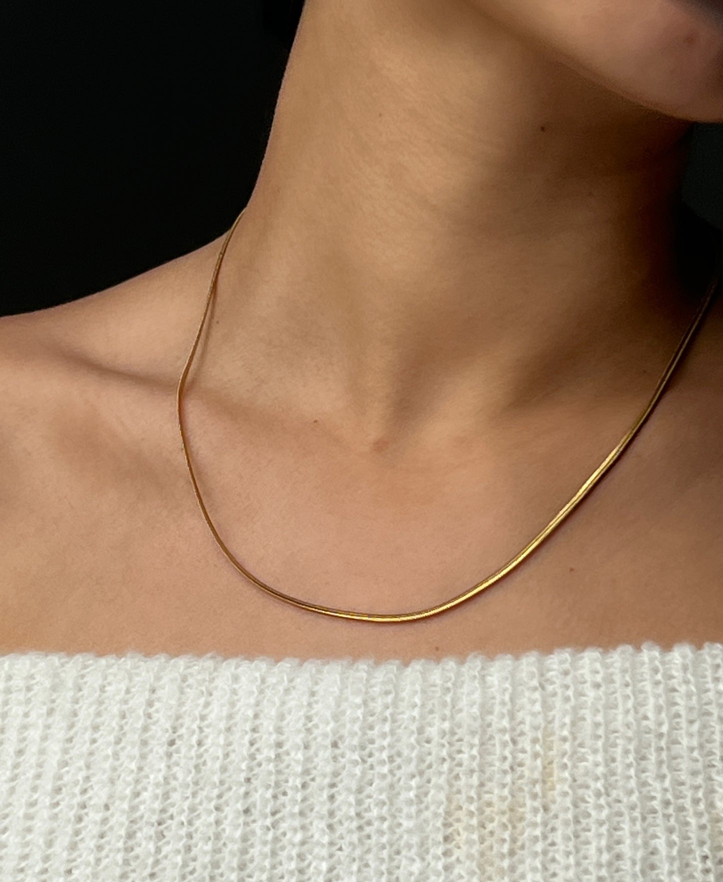 Snake Chain necklace